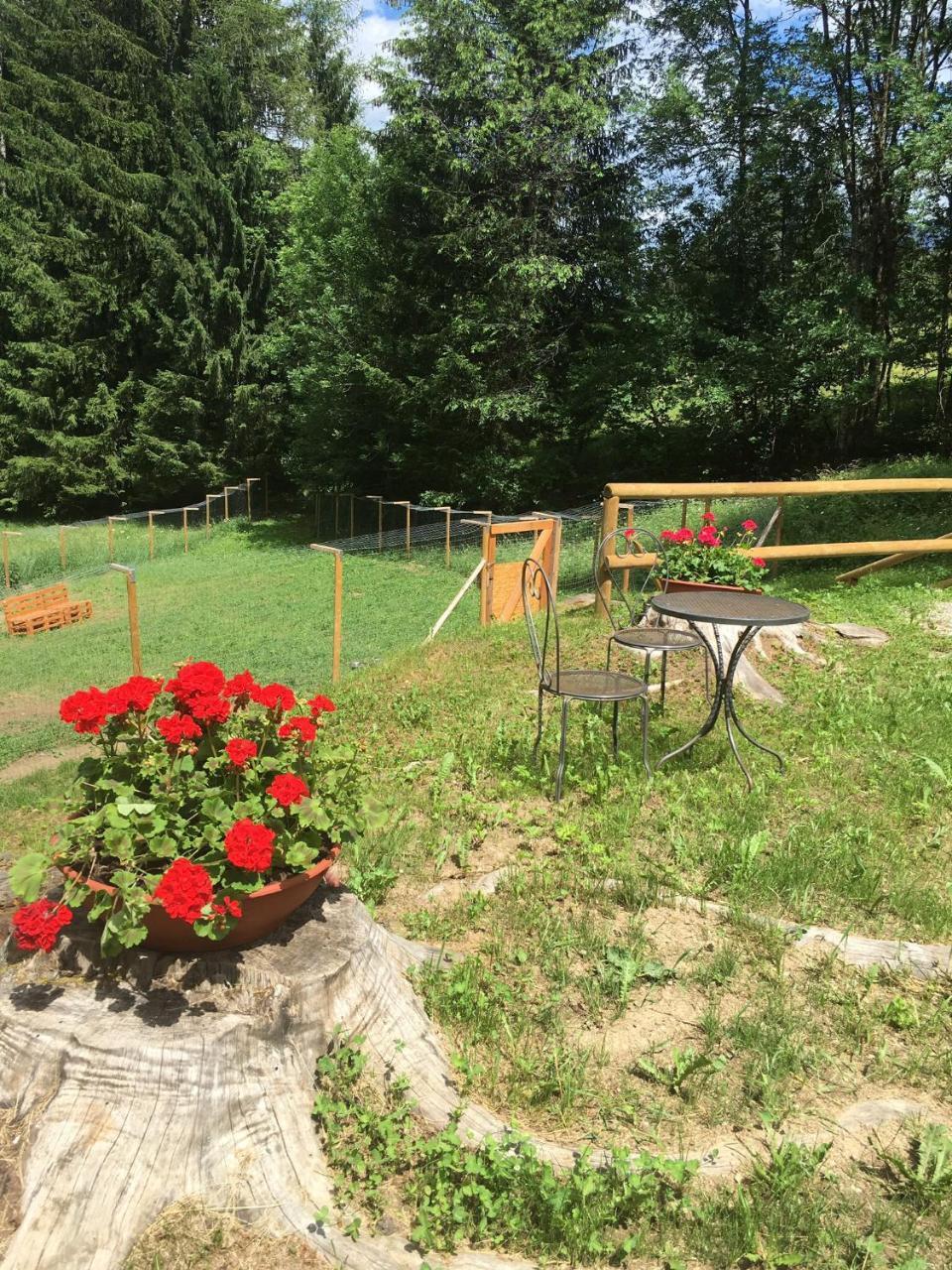 La Locanda Delle Pulci Bio Welness Mezzana  Exteriér fotografie