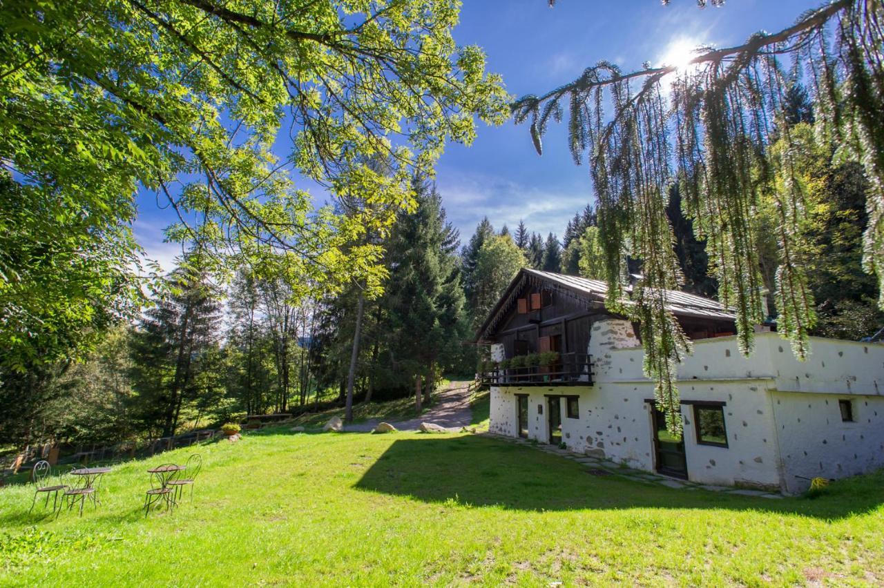 La Locanda Delle Pulci Bio Welness Mezzana  Exteriér fotografie
